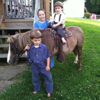 Petting Zoo Pony Rides Petting Zoo Pony Rides