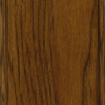 acorn hickory special