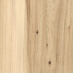 elm