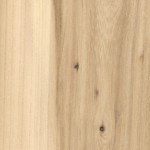elm elm