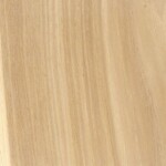 hickory hickory