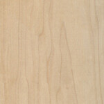 maple