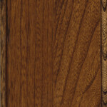 new carrington elm special