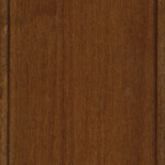 nutmeg maple