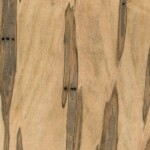 wormy maple